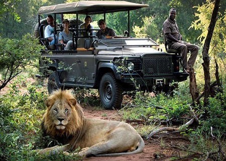 tanzania-3-days-safari-guide-online