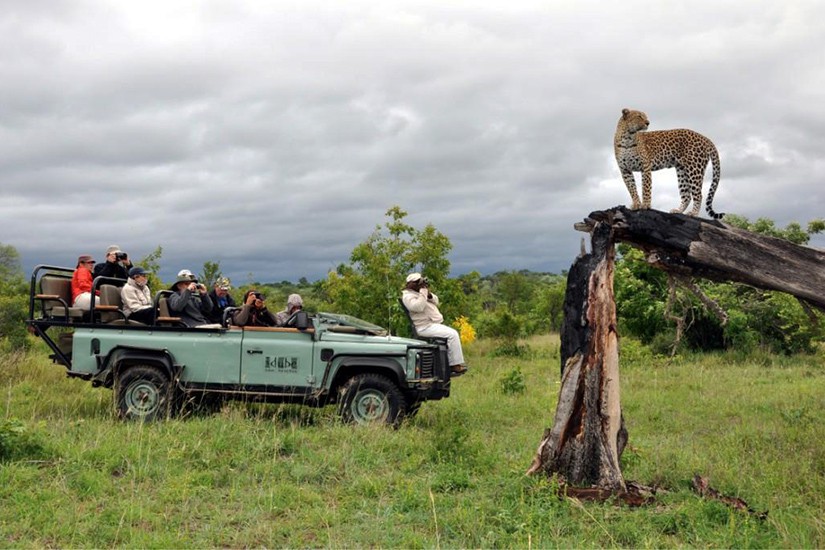 safari-tanzania