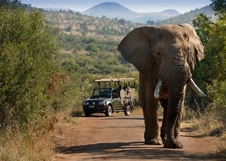 tanzania-safari-6-days-and-5-days-zanzibar