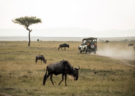 tanzania-safari-6-days-camping