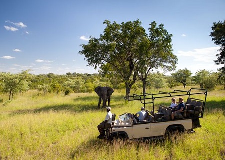 tanzania-safari-7-days-camping